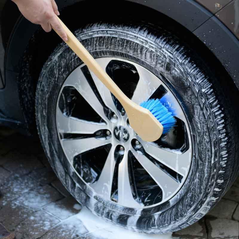 Long Handle Feathered Bristle Scrub Brush - CarCarez Professional Auto Detailing and Cleaning Products