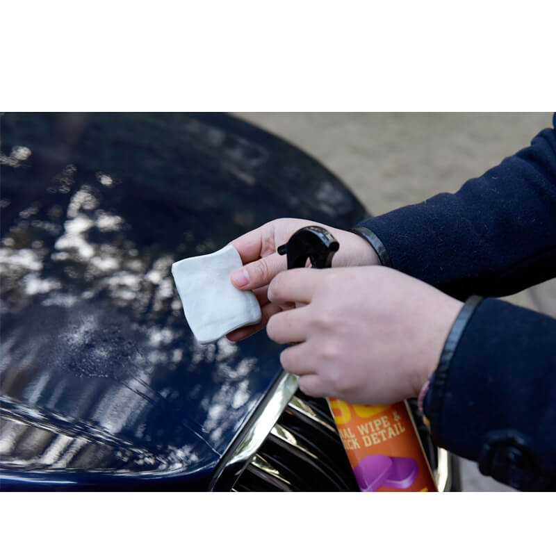 Swpeet 5 Pcs Detailing Car Clay Bar 100g Auto Detailing Magic