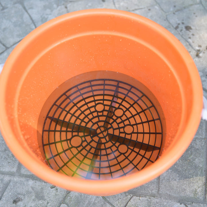 Grit Guard/Washboard Bucket Insert - CarCarez Professional Auto Detailing and Cleaning Products